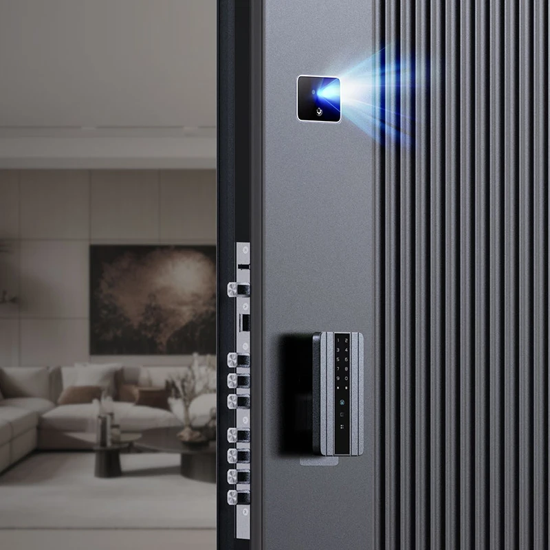 Residential MF Smart Door System